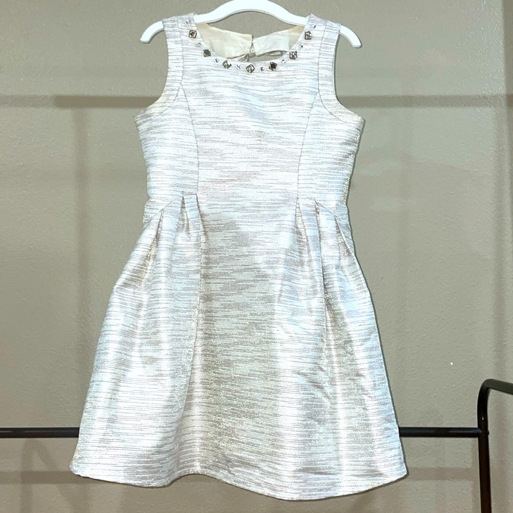 Vera Wang Cream and Silver Elegant Formal Dress